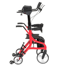 Primary Image Link