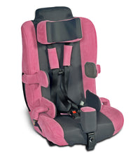 Primary Image Link
