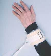 Primary Image Link