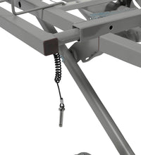 Primary Image Link