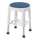 Swivel Seat Shower Stool