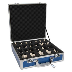 Set of 24 BONElike Vertebrae Models - 3B Smart Anatomy