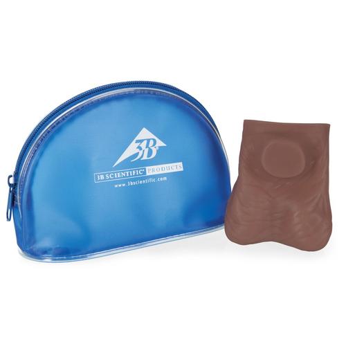 Testicle Model, Dark Skin