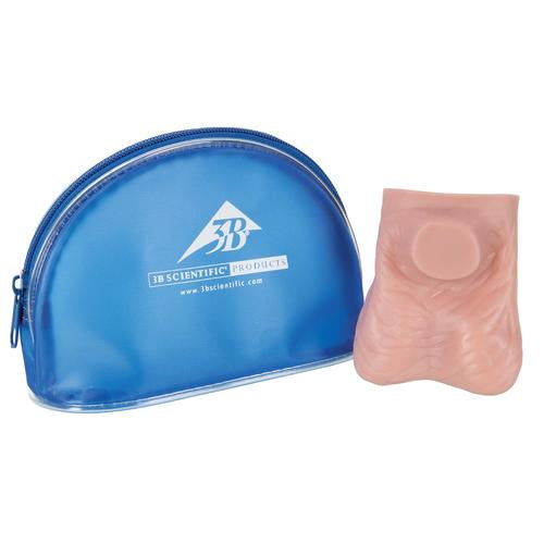 Testicle Model, Light Skin