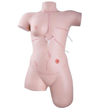 Trainer for wound care and bandaging techniques