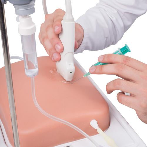 SONOtrain Ultrasound Vein model