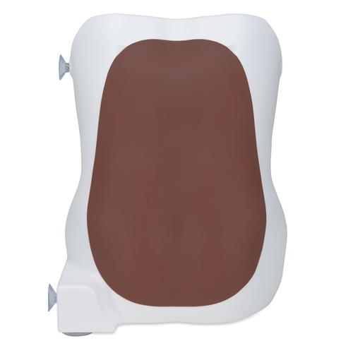 Epidural and Spinal Injection Trainer, Dark Skin