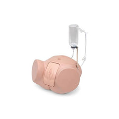 Catheterization Simulator Pro-Female,

Light Skin