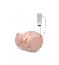Catheterization Simulator Pro-Male, Light Skin