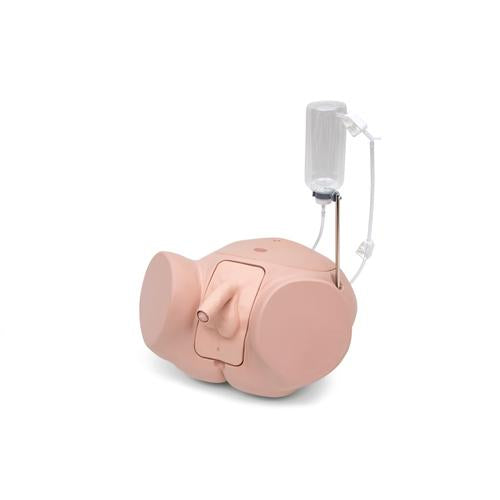 Catheterization Simulator Pro-Male, Light Skin