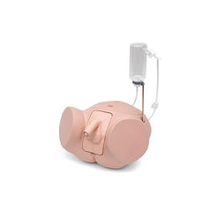 Catheterization Simulator Pro-Male, Light Skin