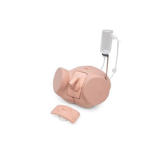 Catheterization Simulator Set Pro, Light Skin