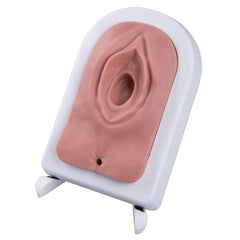 Episiotomy and Suturing Trainer, Light Skin