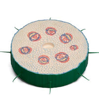 Stem Cross Section of Creeping Buttercup (Ranunculus repens), Model