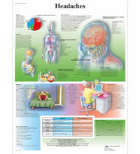 Headaches Chart