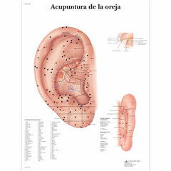 Acupuntura de la oreja