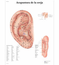 Acupuntura de la oreja