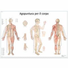 Agopuntura por il corpo