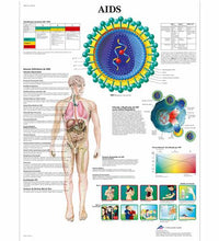 AIDS, 50x67 cm, Laminado