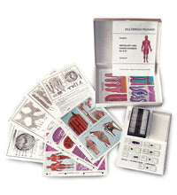 MULTIMEDIA TEACHER PACKAGE Mitosis and Meiosis (Cell division) Basic Package of 6 items
