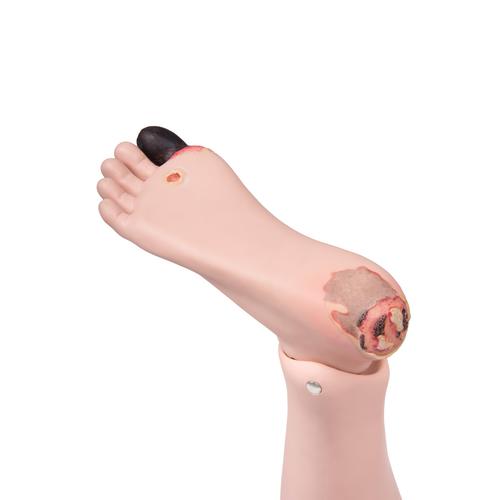 Spare lower leg - right