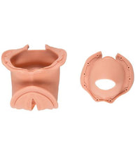 Birth canal and cervix (1x birth canal / 1x cervix)