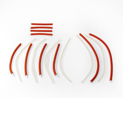 Fallopian tubes set P91