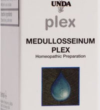 Medullosseinum Plex