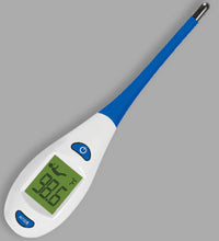 2- Second Digital Thermometer