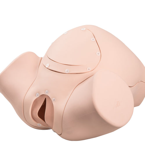 Intro to Obstetrics Lab Basic Set