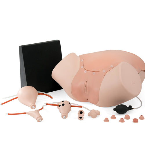 Intro to Gynecology Lab Set