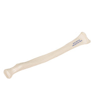 Human Radius Model - 3B Smart Anatomy