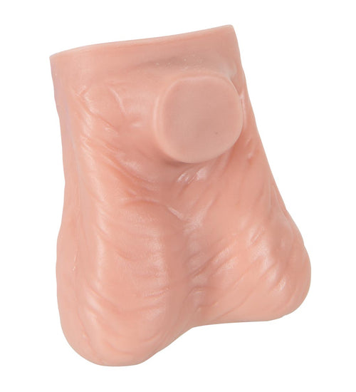 Testicle Model, Light Skin