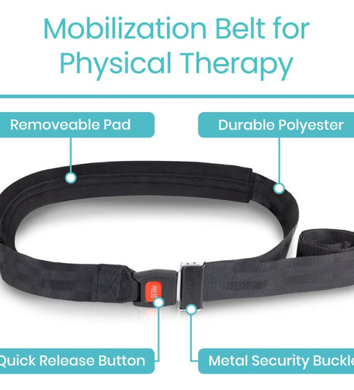 Mobilization Belt