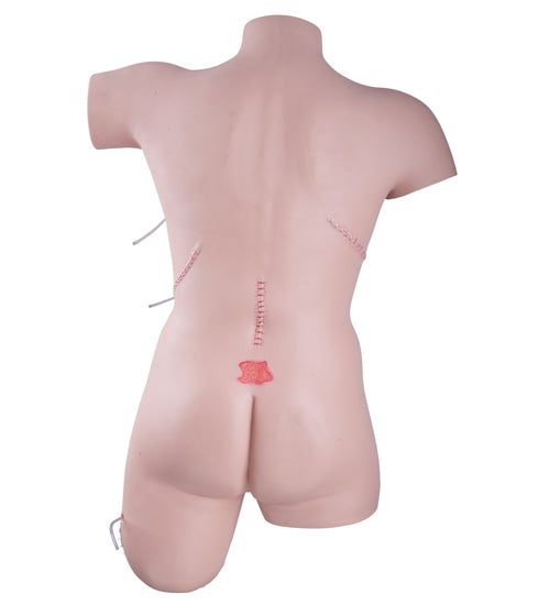 Trainer for wound care and bandaging techniques