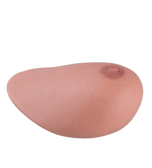 SONOtrain Breast model with tumours