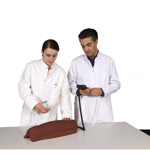 Intramuscular Injection Simulator - Upper Leg,  Dark Skin