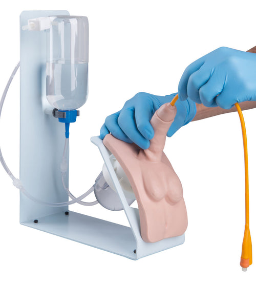 Catheterization Simulator Basic-Male, Light Skin