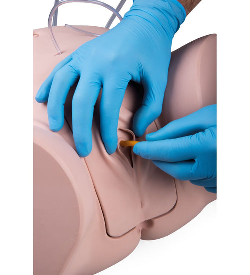 Catheterization Simulator Pro-Female,

Light Skin