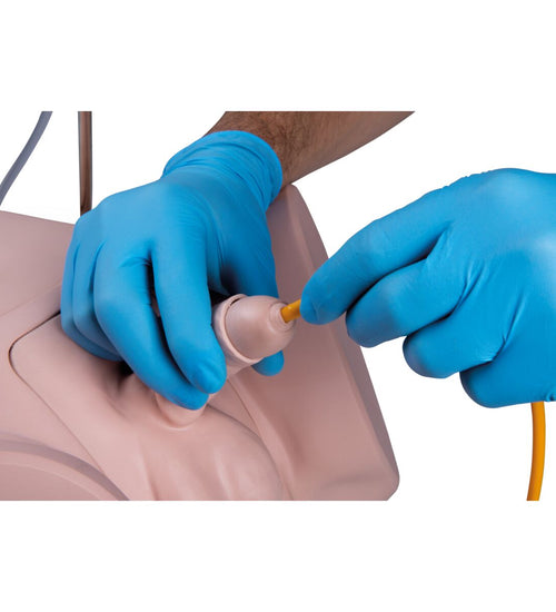 Catheterization Simulator Pro-Male, Light Skin