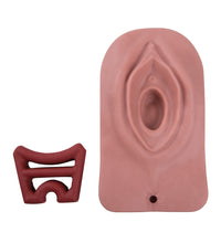 Episiotomy and Suturing Trainer, Light Skin