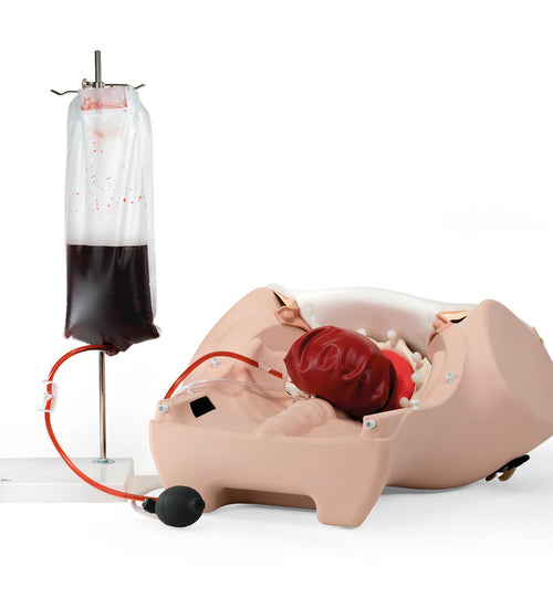 Postpartum Hemorrhage Trainer - PPH Trainer P97