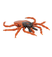 Castor Bean Tick (Ixodes ricinus), Model