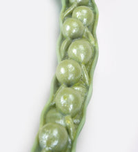 Canola Blossom (Brassica napus ssp. oleifera), Model