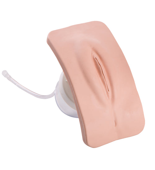 Female genital insert for P93 PRO/BASIC