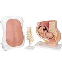 Anesthesiology Lab Set