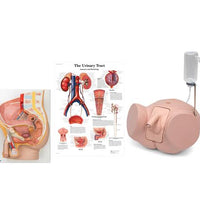 Male Catheterization Pro Set