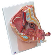 Female Catheterization Pro Set