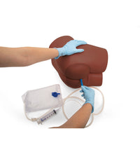 Bowel Care and Enema Trainer, Dark Skin