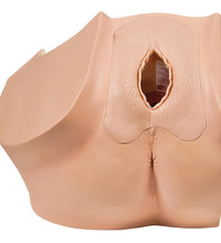 Model for GynaecologicalPatient Education - 3B Smart Anatomy